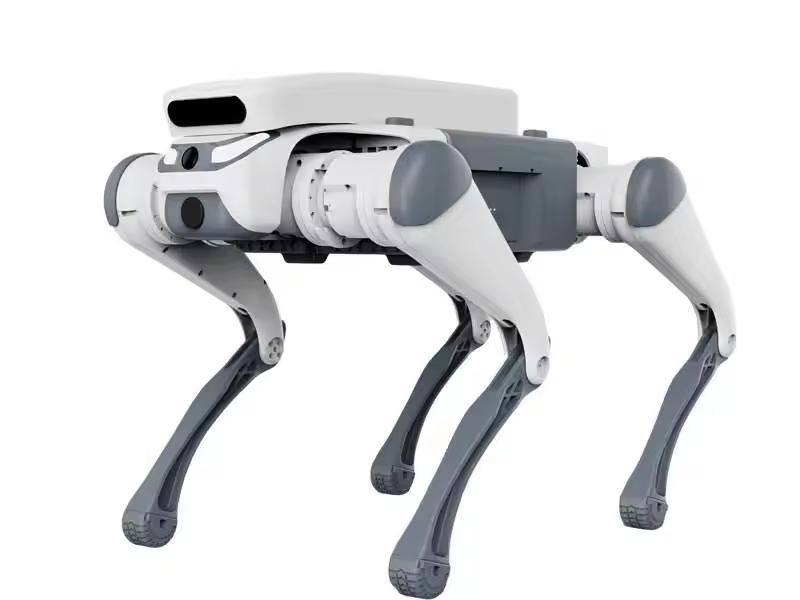 stunt afstandsbediening educat - Remote Control Toys recensie en prijs